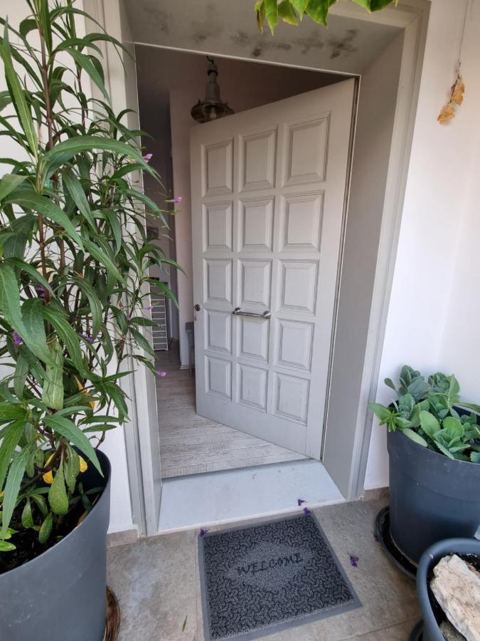 Hara'S Villa In Naousa , Paros Zewnętrze zdjęcie