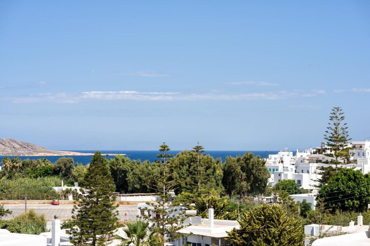 Hara'S Villa In Naousa , Paros Zewnętrze zdjęcie