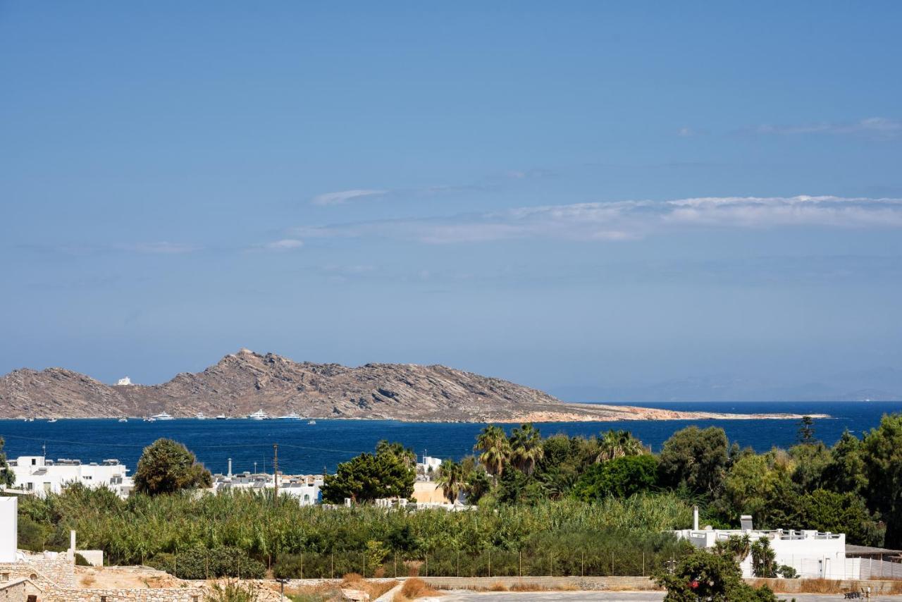 Hara'S Villa In Naousa , Paros Zewnętrze zdjęcie